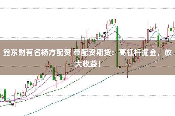 鑫东财有名杨方配资 带配资期货：高杠杆掘金，放大收益！