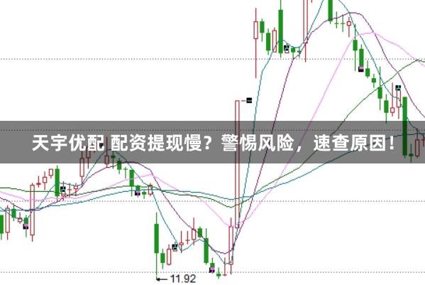 天宇优配 配资提现慢?警惕风险,速查原因!