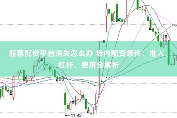 股票配资平台消失怎么办 场内配资条件：准入、杠杆、费用全解析