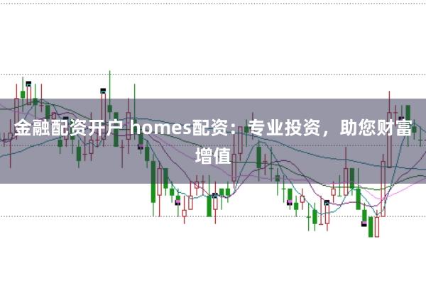 金融配资开户 homes配资：专业投资，助您财富增值