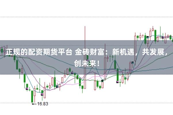 正规的配资期货平台 金砖财富：新机遇，共发展，创未来！