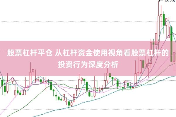 股票杠杆平仓 从杠杆资金使用视角看股票杠杆的投资行为深度分析